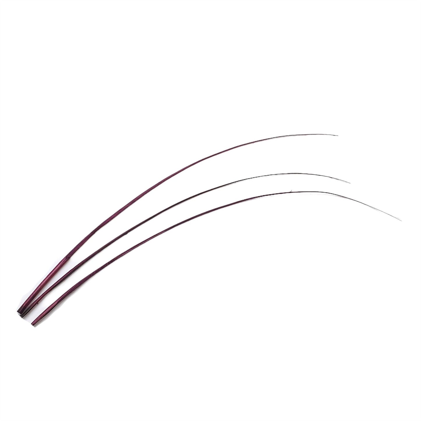 Ostrich Feather Spines 60cm x 3pcs FE018
