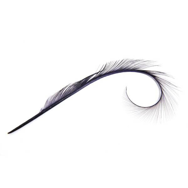 Burnt Pheasant Curled Feather - FE011