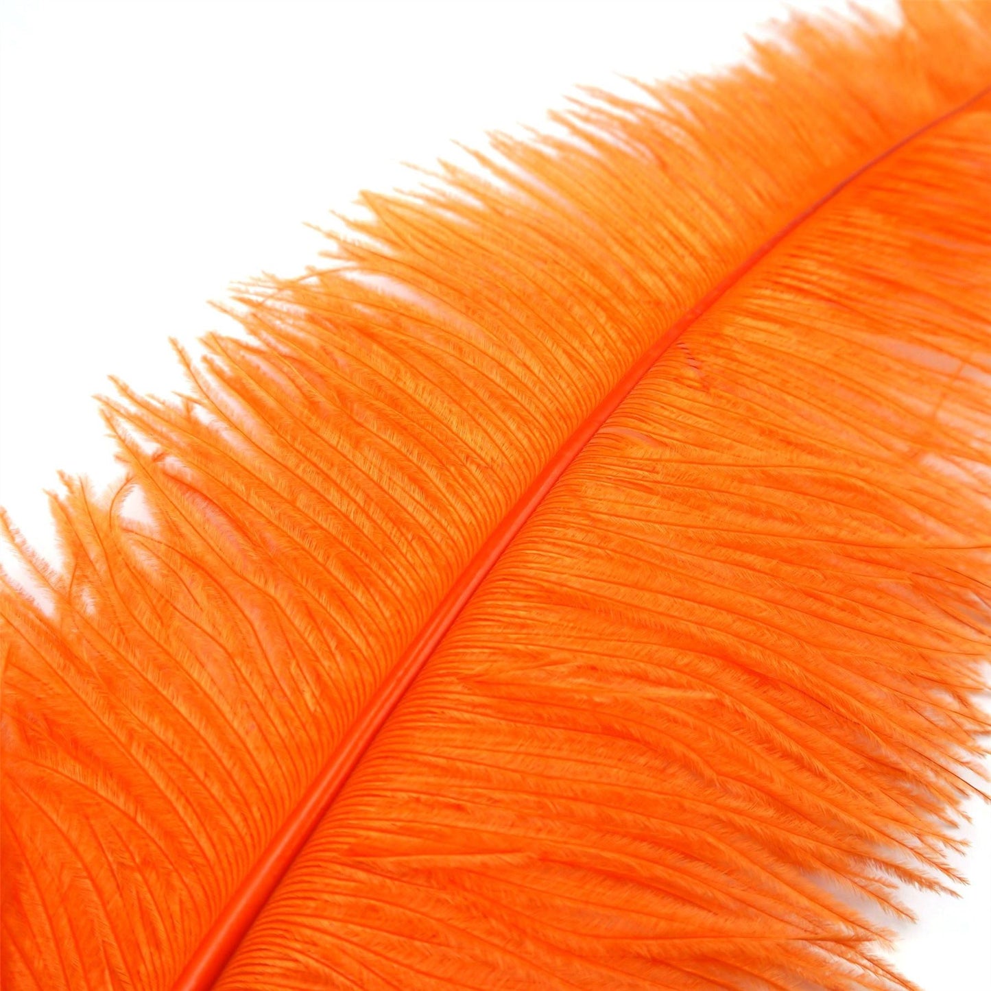 Ostrich Feather Plume 45 to 55cm FE017