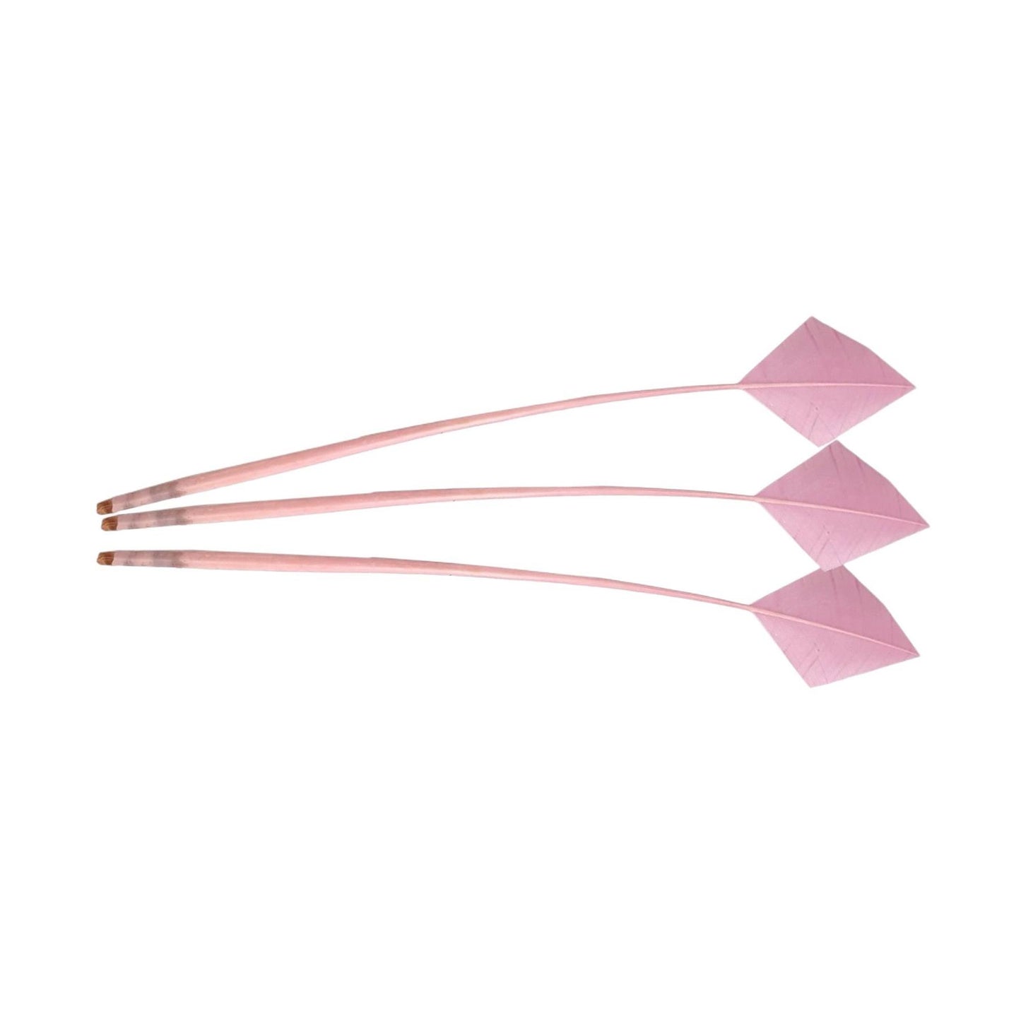 Arrow Head Turkey Feather 30cm x 3pcs - FE014