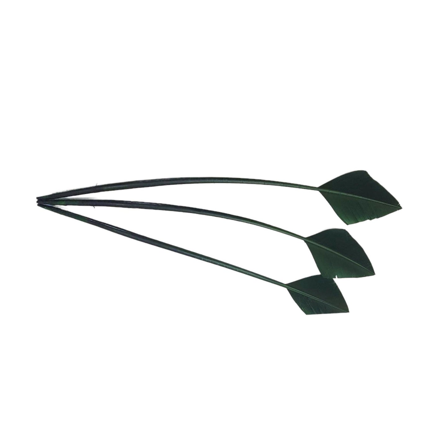 Arrow Head Turkey Feather 30cm x 3pcs - FE014