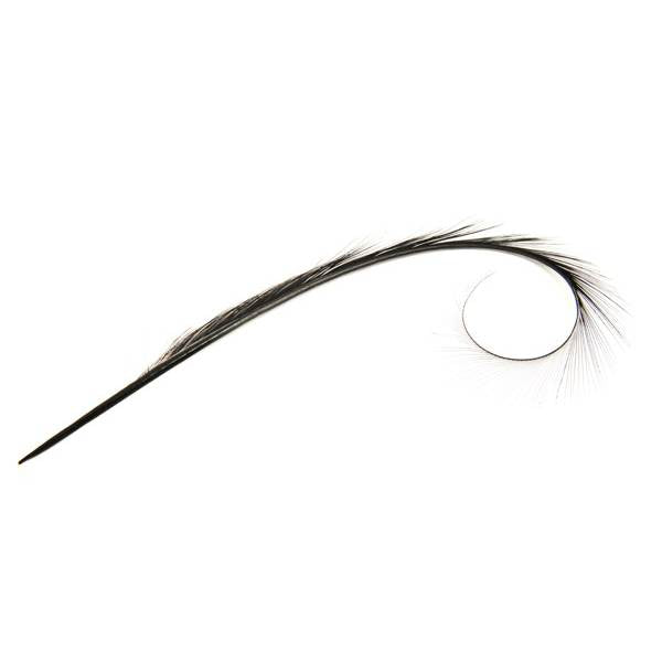 Burnt Pheasant Curled Feather - FE011