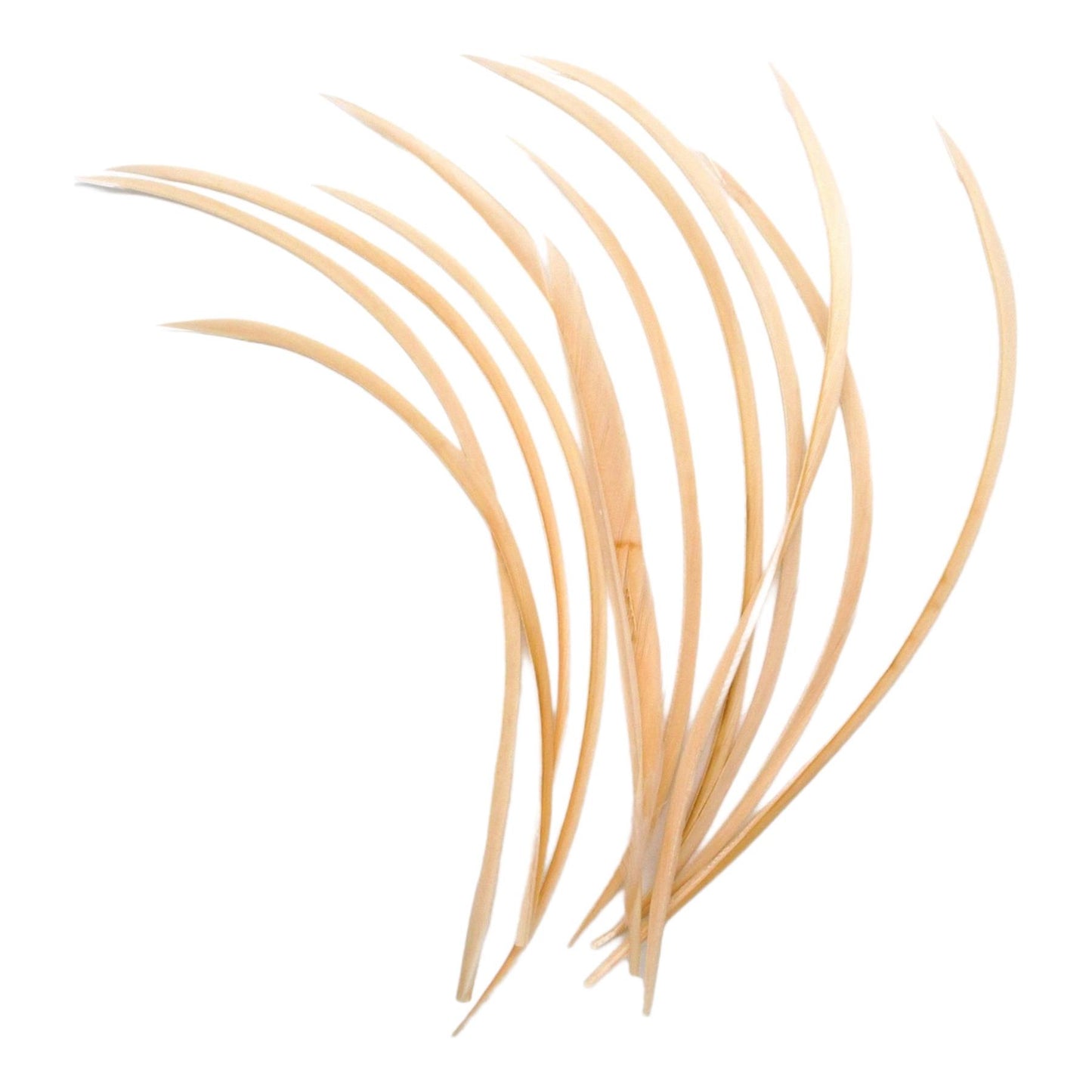 Spiky Goose Biot Feathers 14cm x 10pcs - FR913
