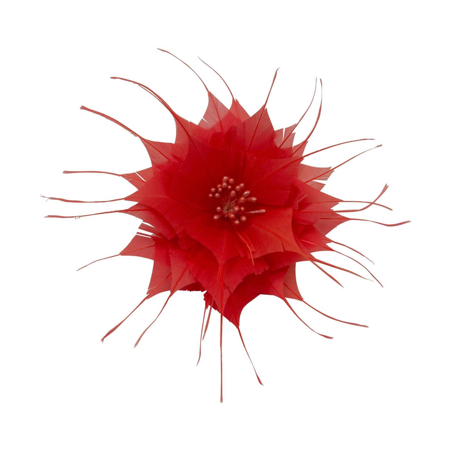 Goose Feather Star Flower 14cm FM024