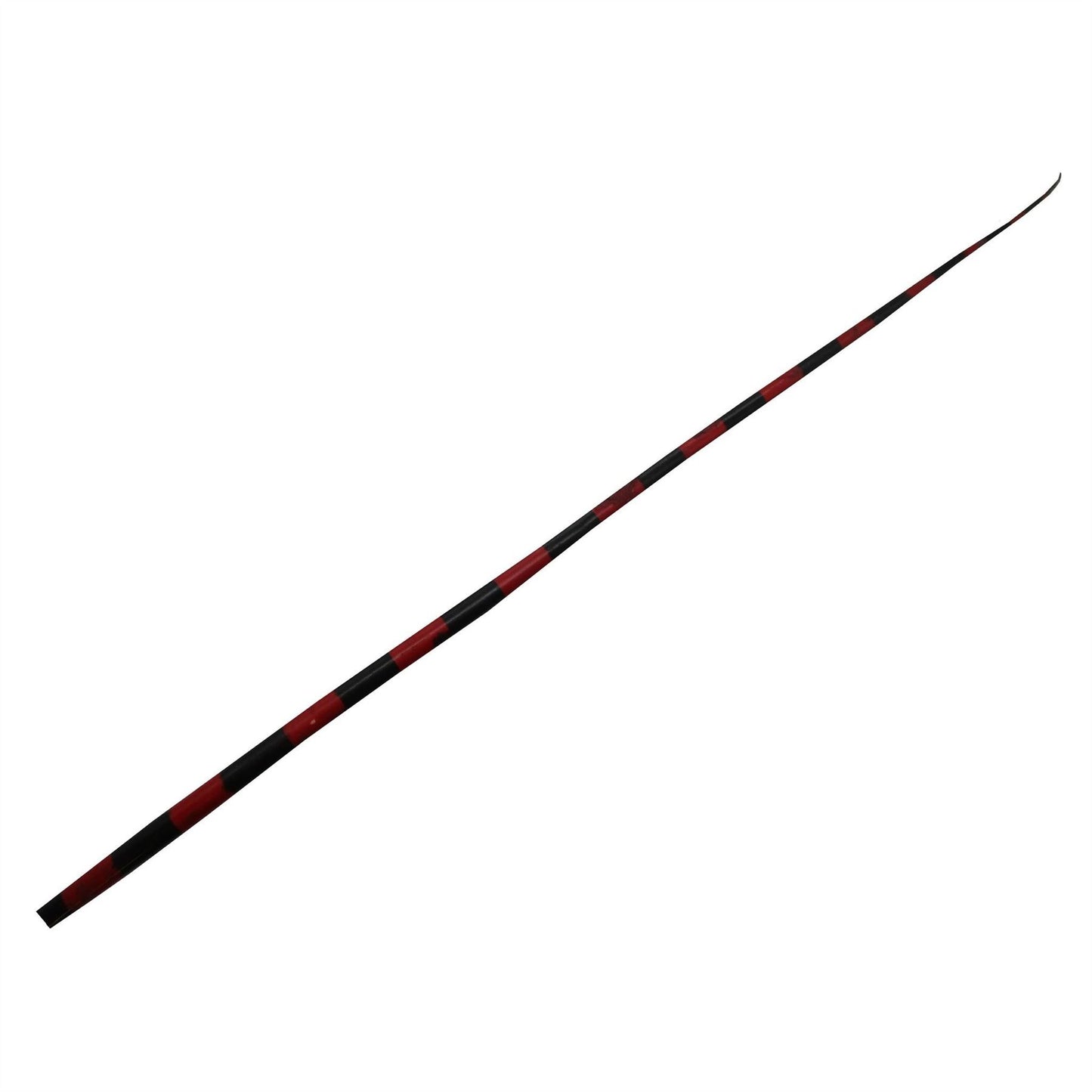 Stripe Ostrich Feather Spines 60cm - FE024