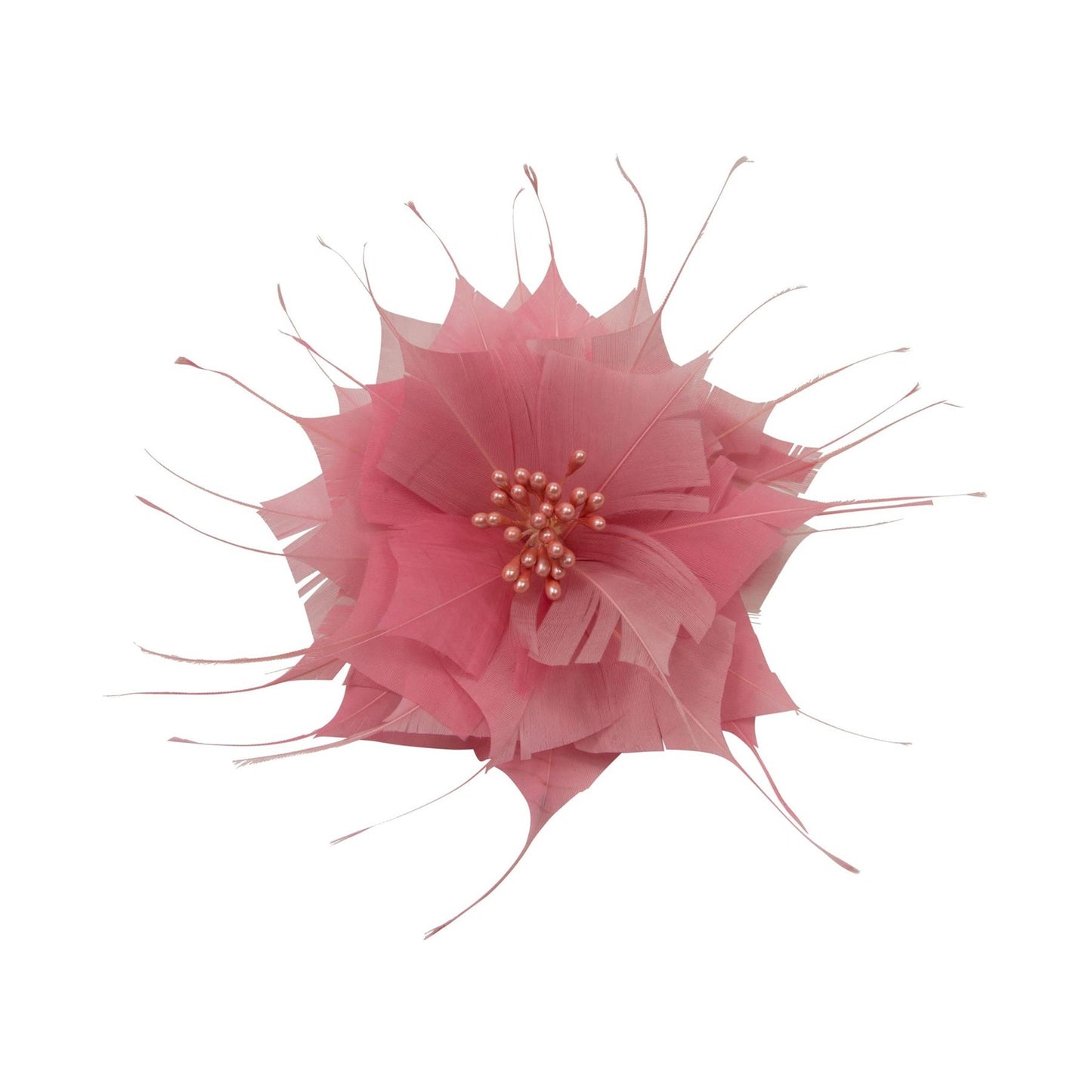 Goose Feather Star Flower 14cm FM024