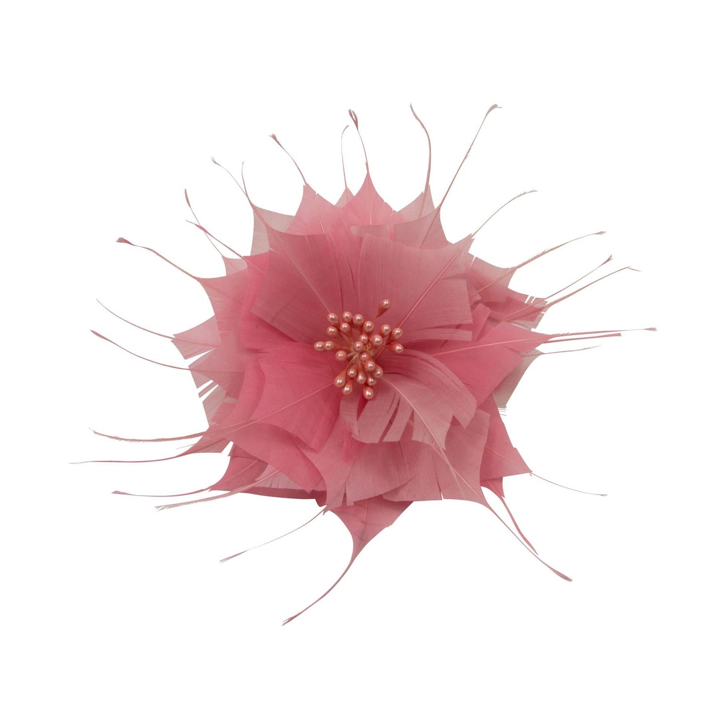 Goose Feather Star Flower 14cm - FM024