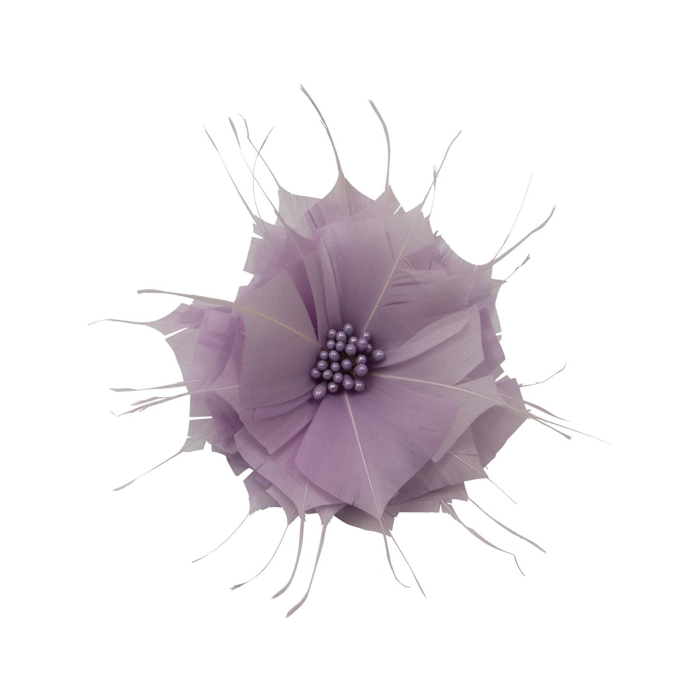 Goose Feather Star Flower 14cm - FM024
