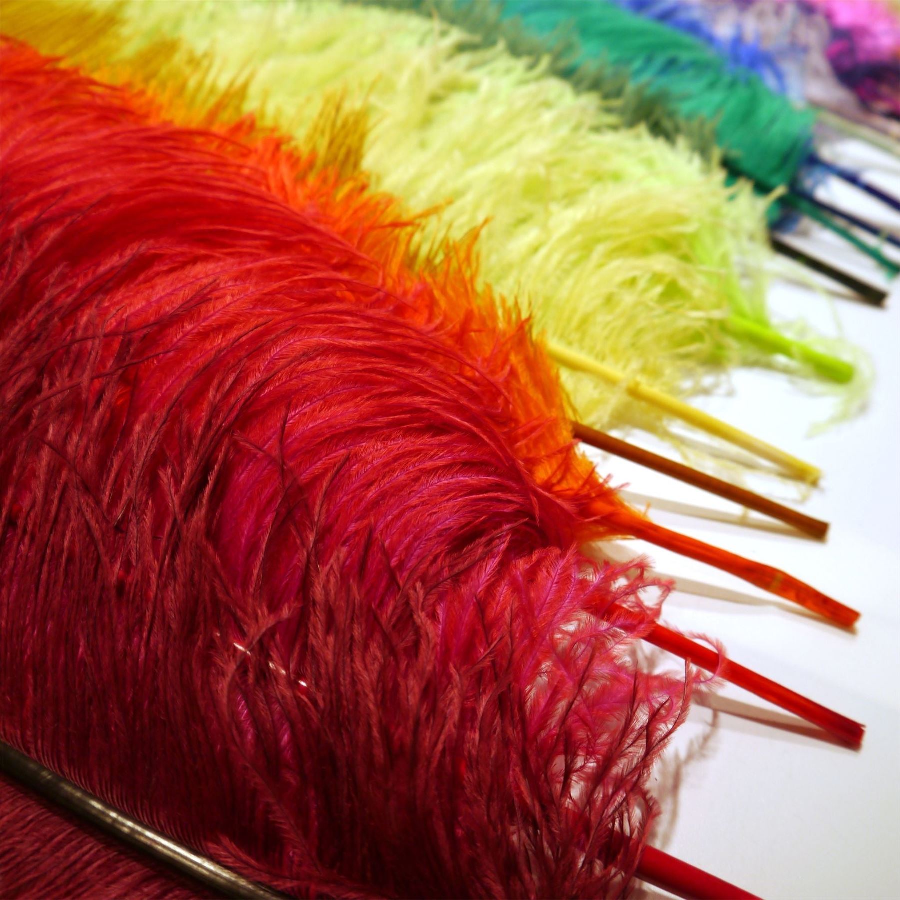 Ostrich Feather Plume 45 to 55cm FE017