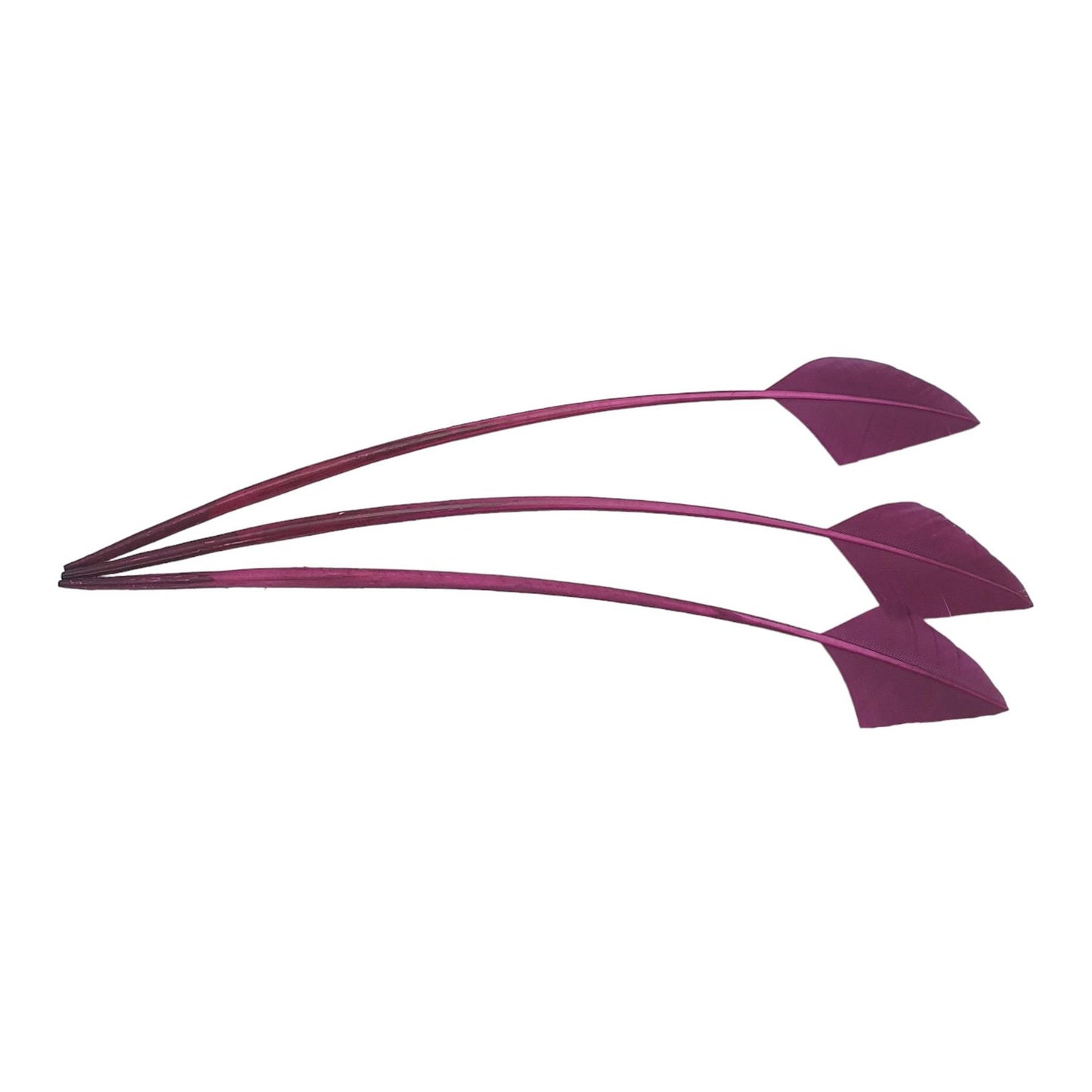 Arrow Head Turkey Feather 30cm x 3pcs - FE014