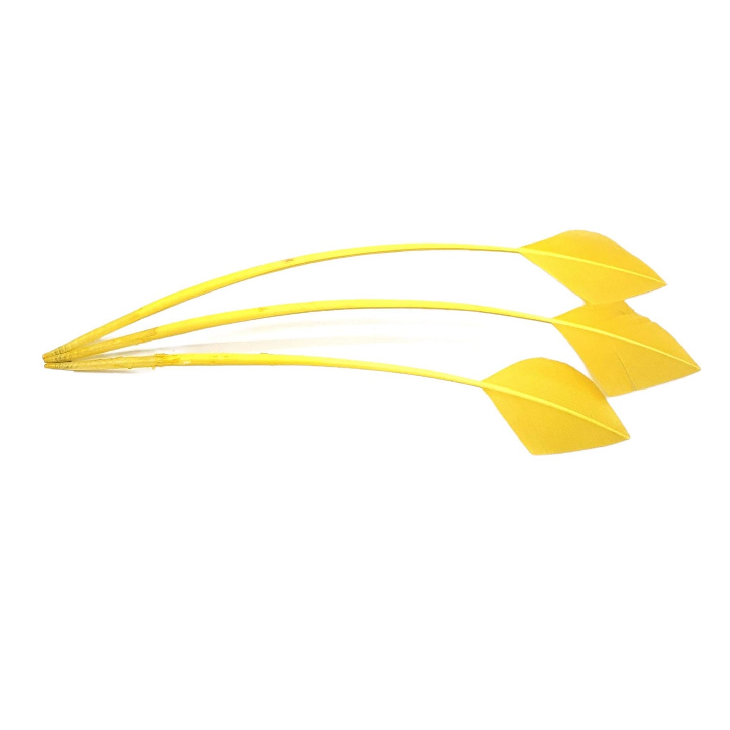 Arrow Head Turkey Feather 30cm x 3pcs - FE014