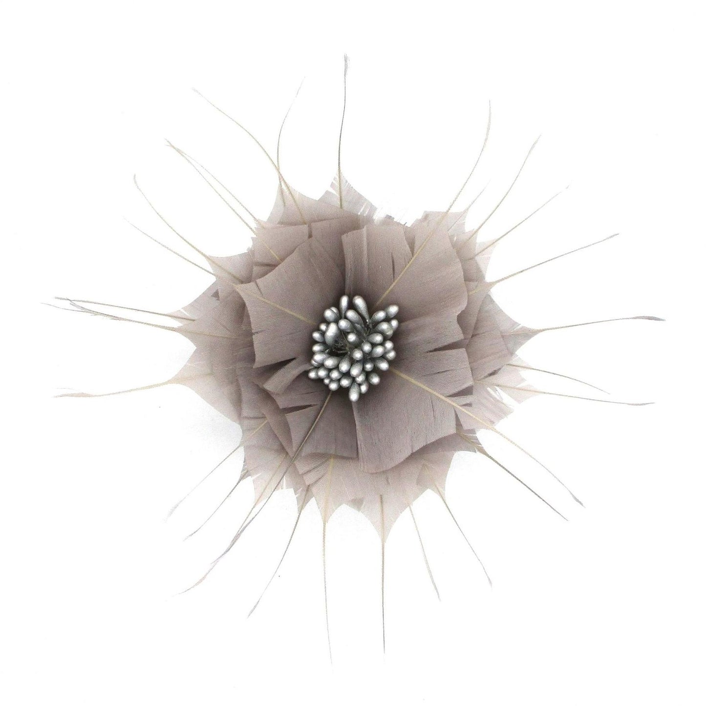 Goose Feather Star Flower 14cm FM024