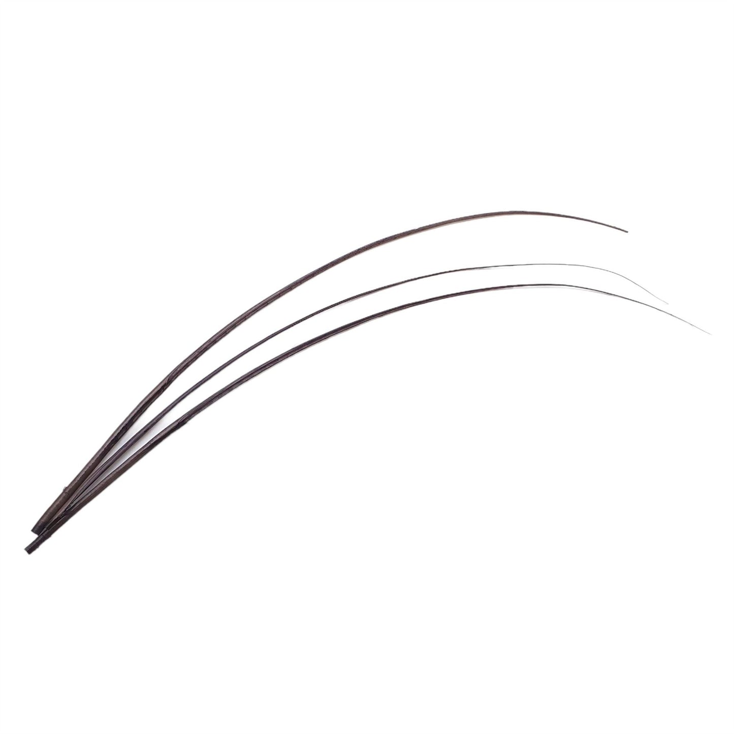 Ostrich Feather Spines 60cm x 3pcs FE018