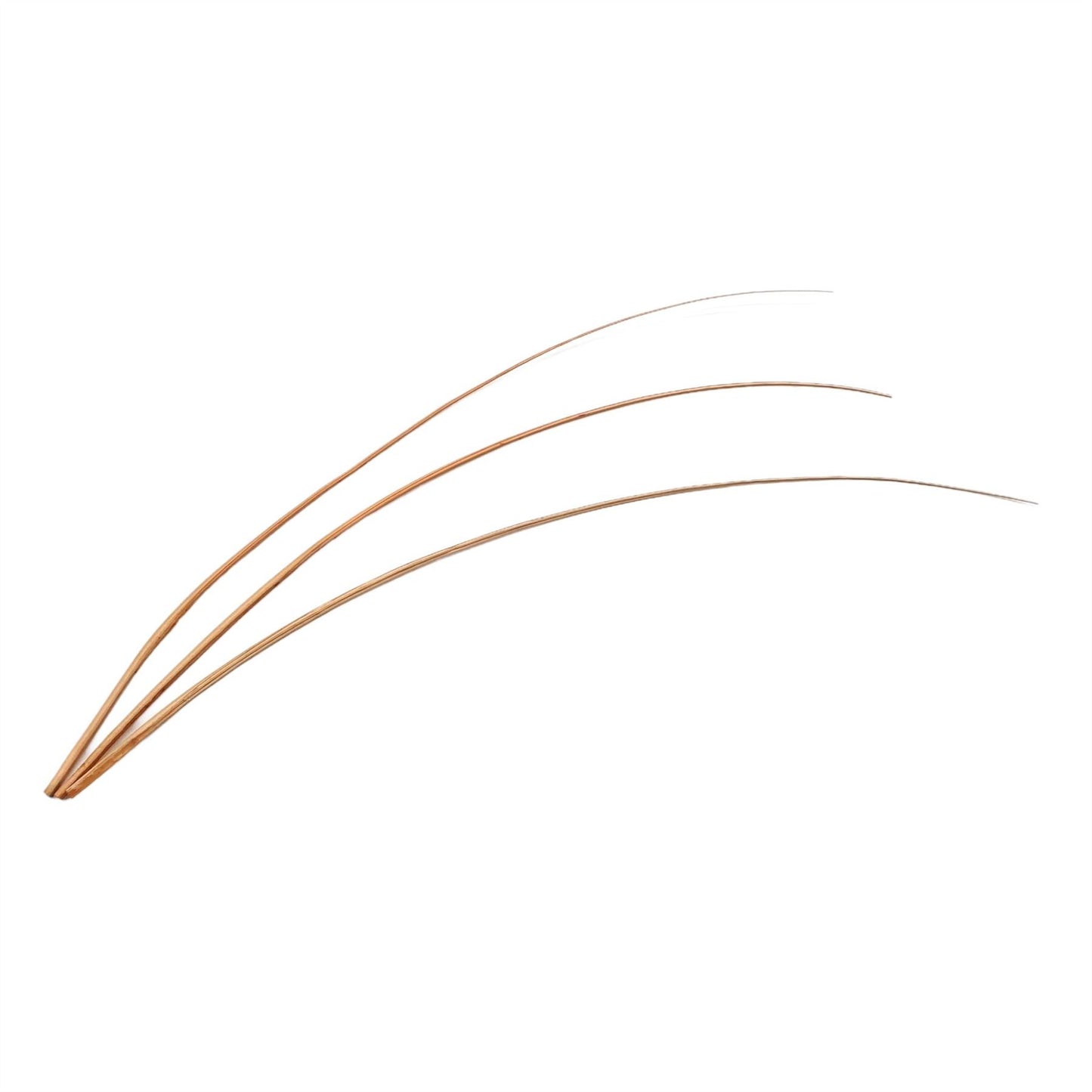 Ostrich Feather Spines 60cm x 3pcs - FE018