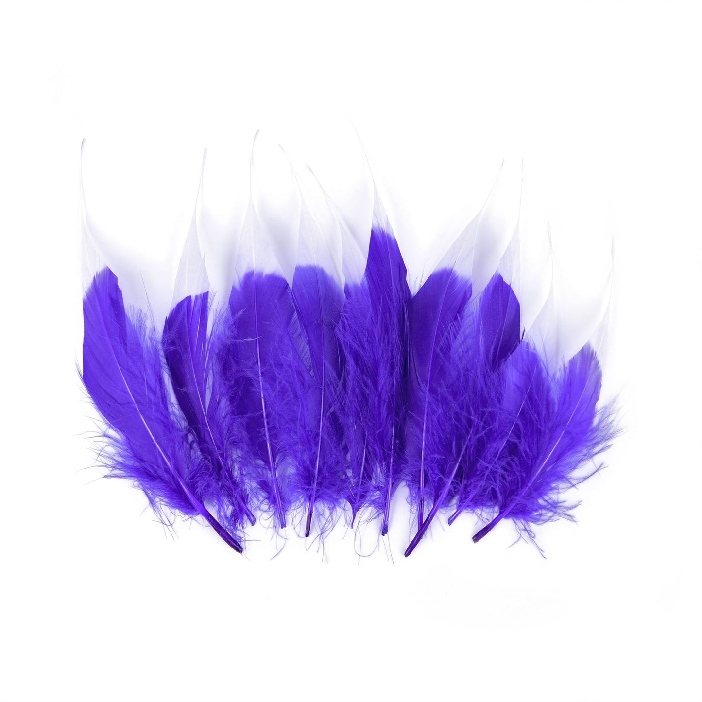 Tip Dyed Goose Feather x 10pcs FE005