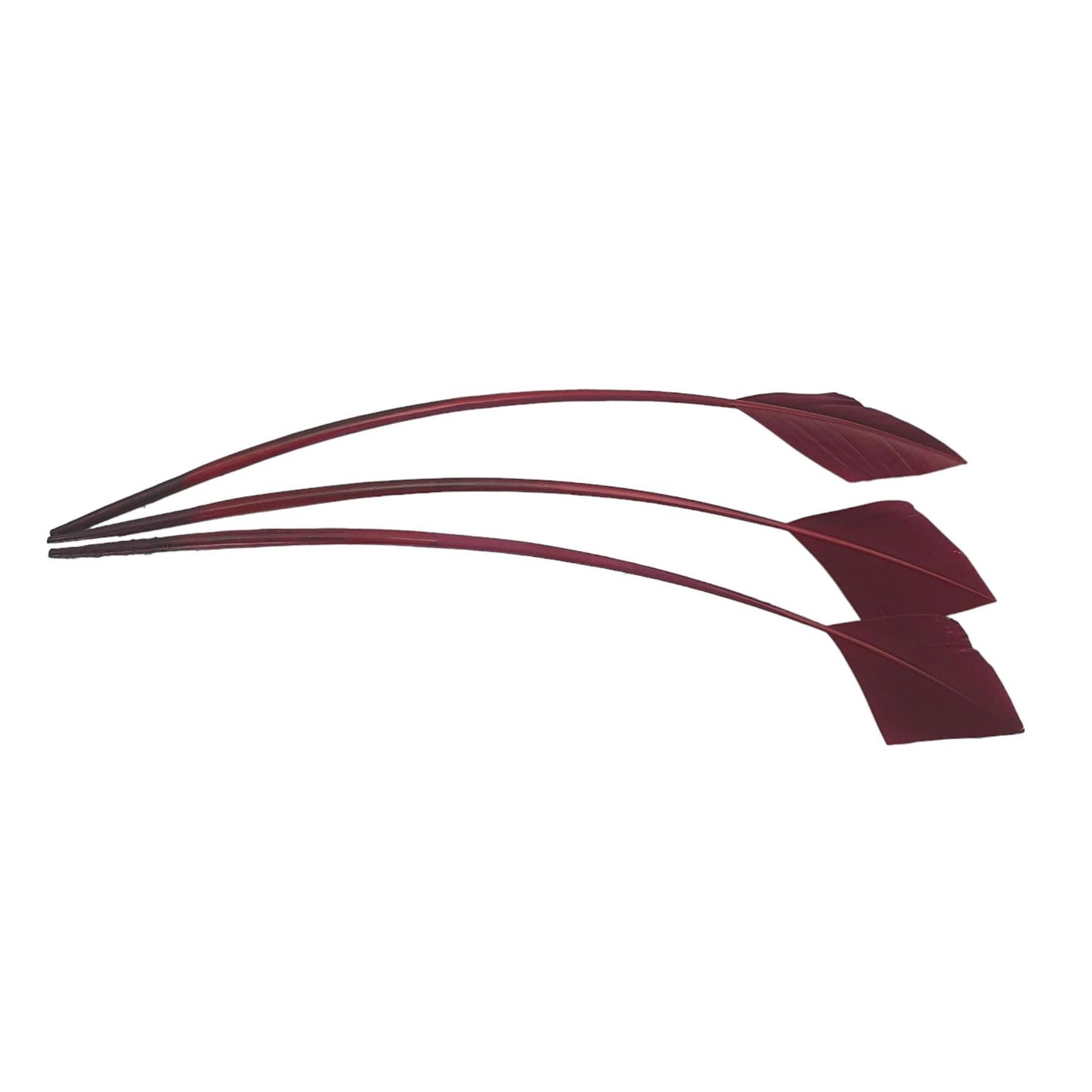 Arrow Head Turkey Feather 30cm x 3pcs - FE014