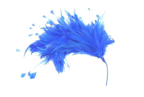 Hackle Feather Stripped Coq Mount 30cm - FM080