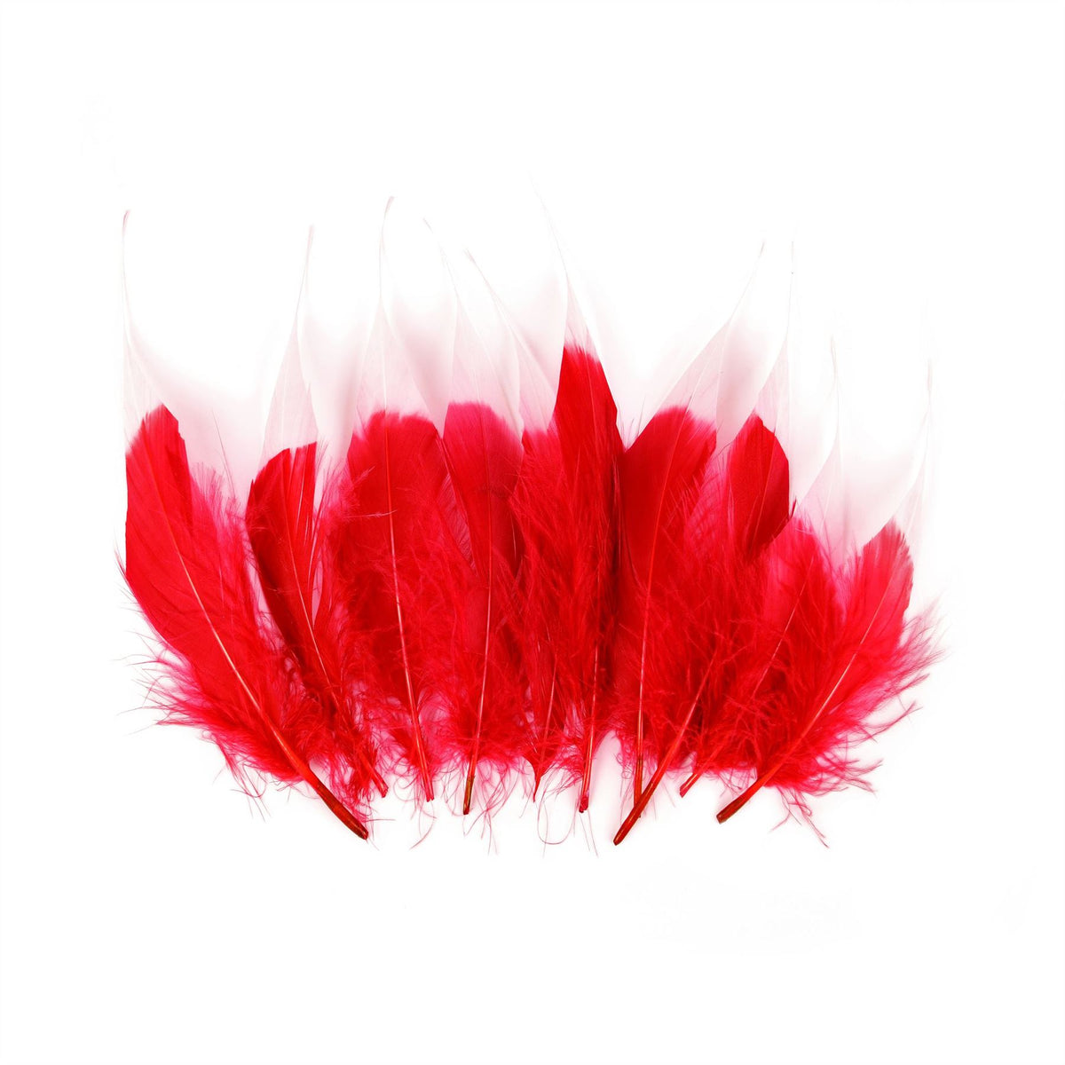 Tip Dyed Goose Feather x 10pcs - FE005