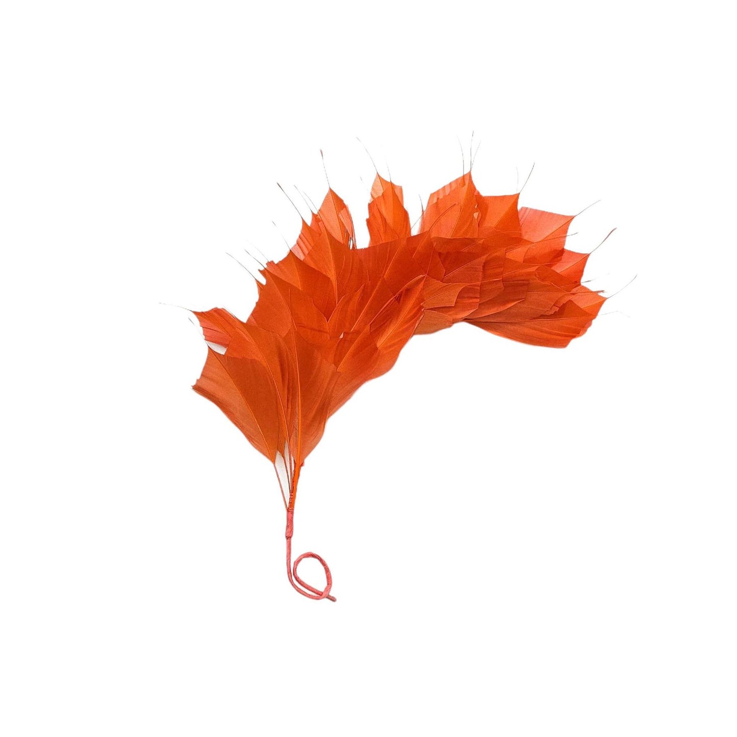 Spiky Goose Mount on Wire 25cm - FM045
