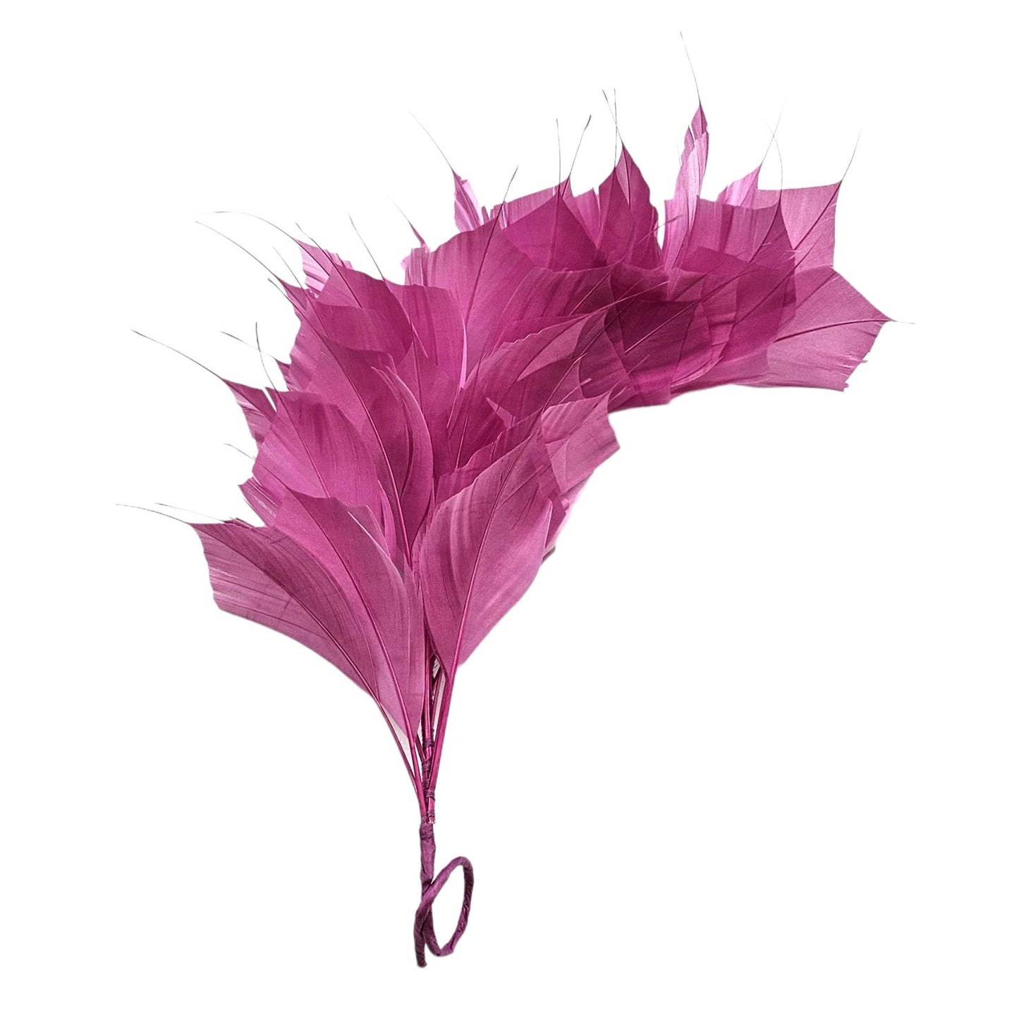 Spiky Goose Mount on Wire 25cm - FM045
