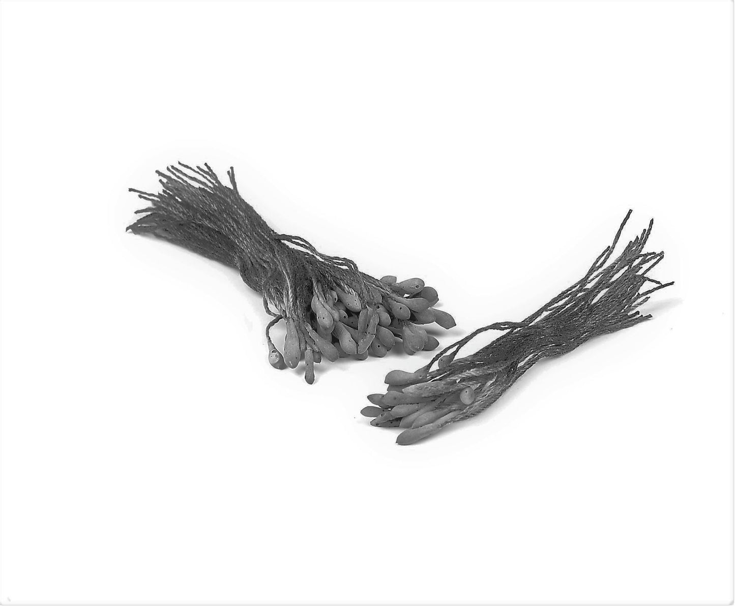 Single Headed Flower Stamen x 100pcs FM106