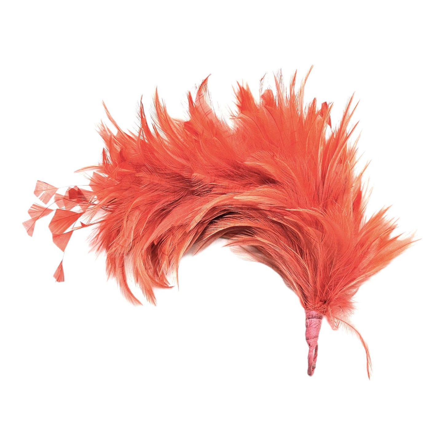 Hackle Feather Stripped Coq Mount 30cm - FM080