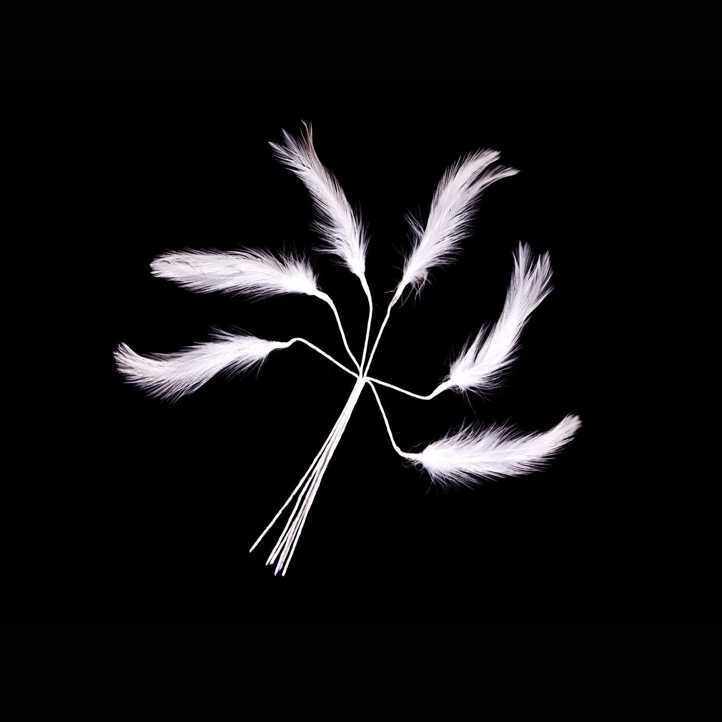 Hackle Feathers on Wire 10cm x 6pcs - FM916