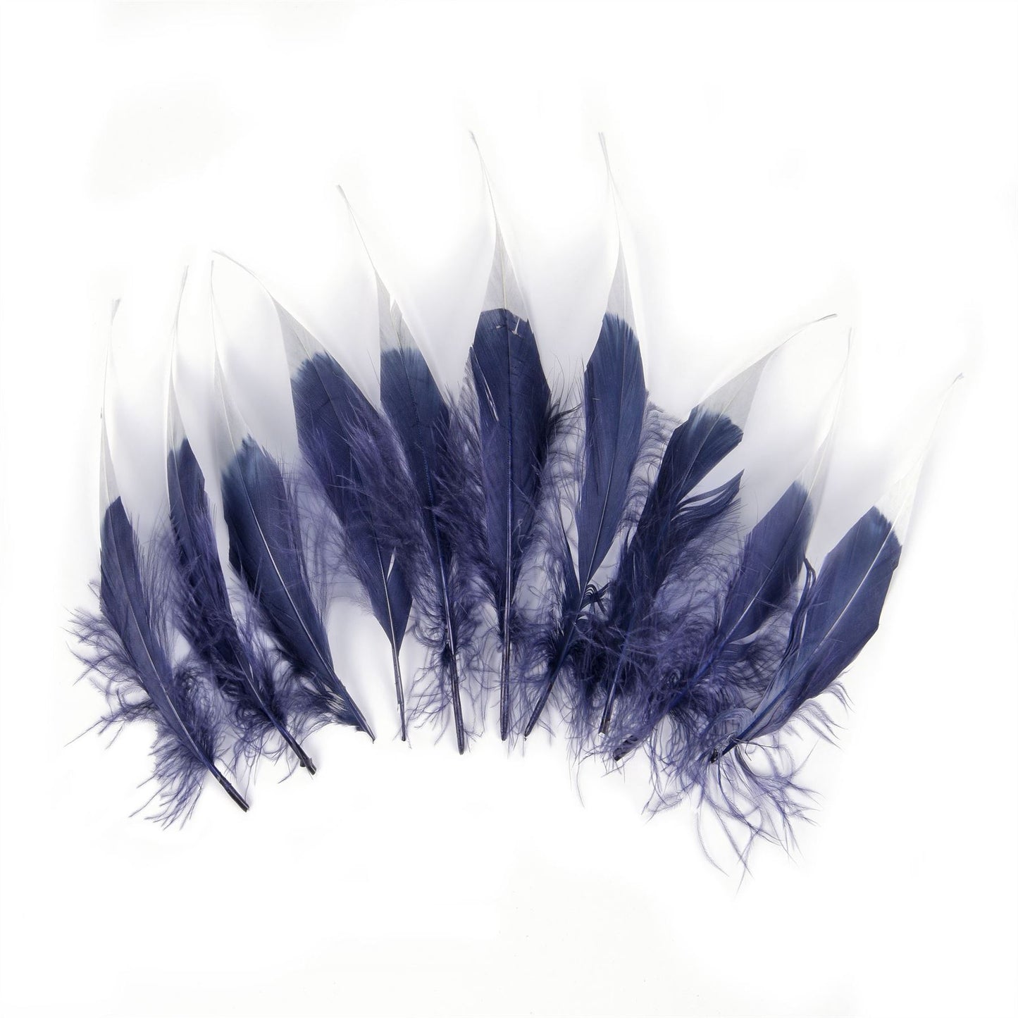 Tip Dyed Goose Feather x 10pcs FE005