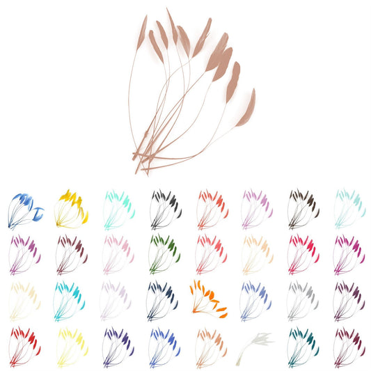 Teardrop Coq Feathers 17 to 25cm x 10pcs - CO017