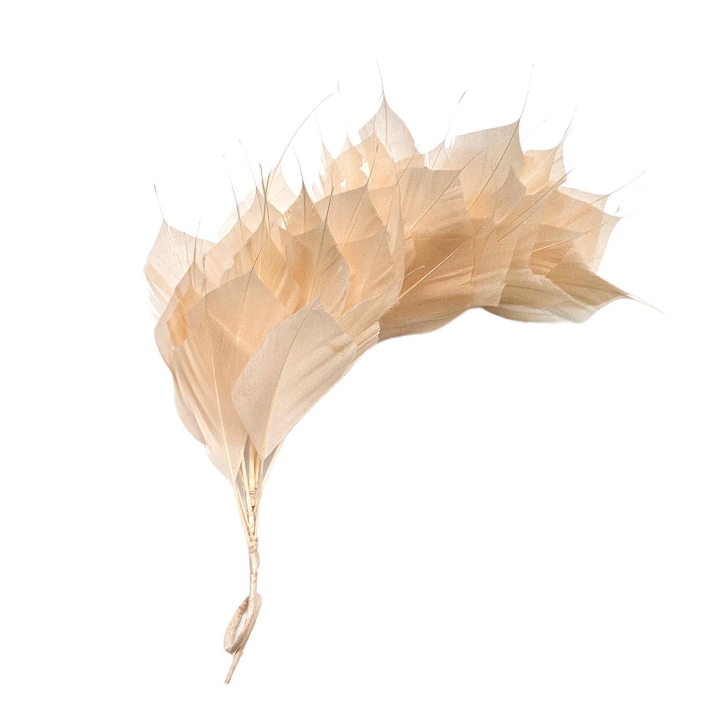 Spiky Goose Mount on Wire 25cm - FM045