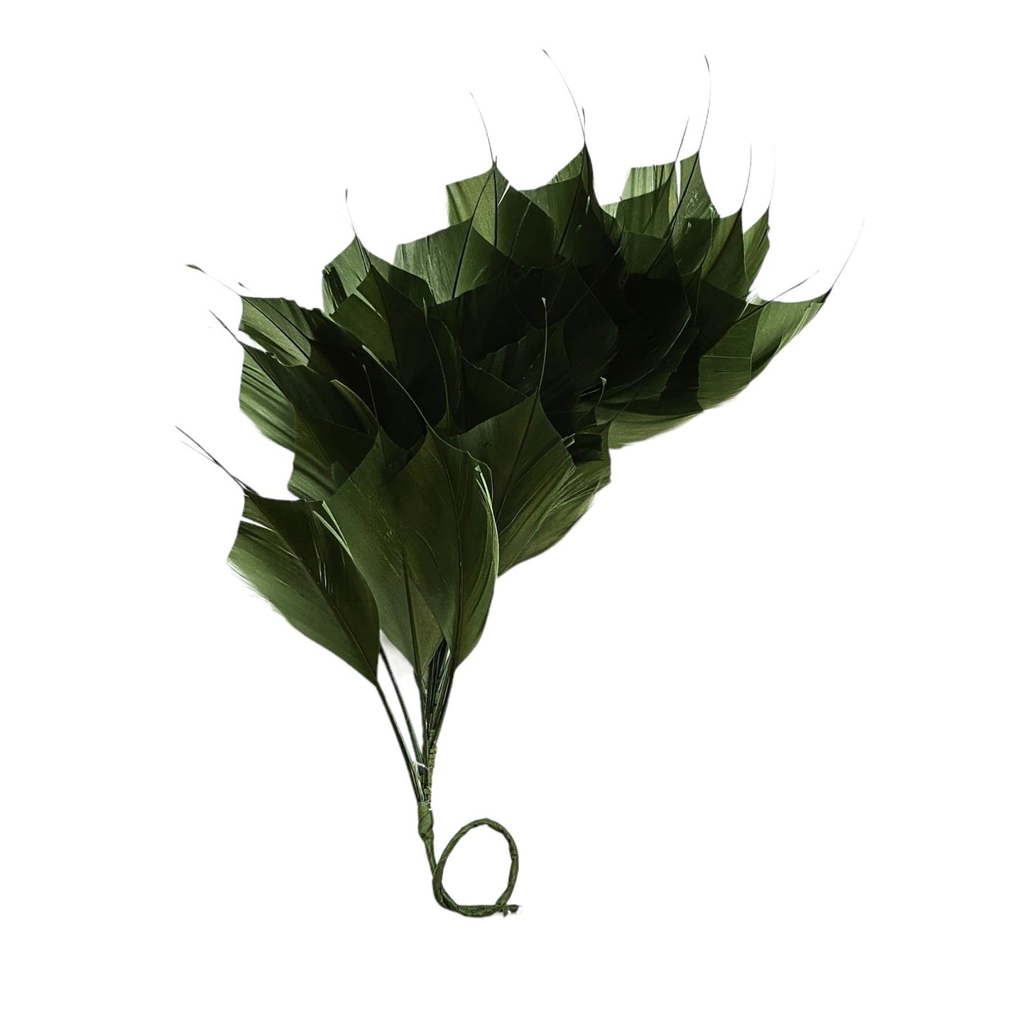 Spiky Goose Mount on Wire 25cm - FM045