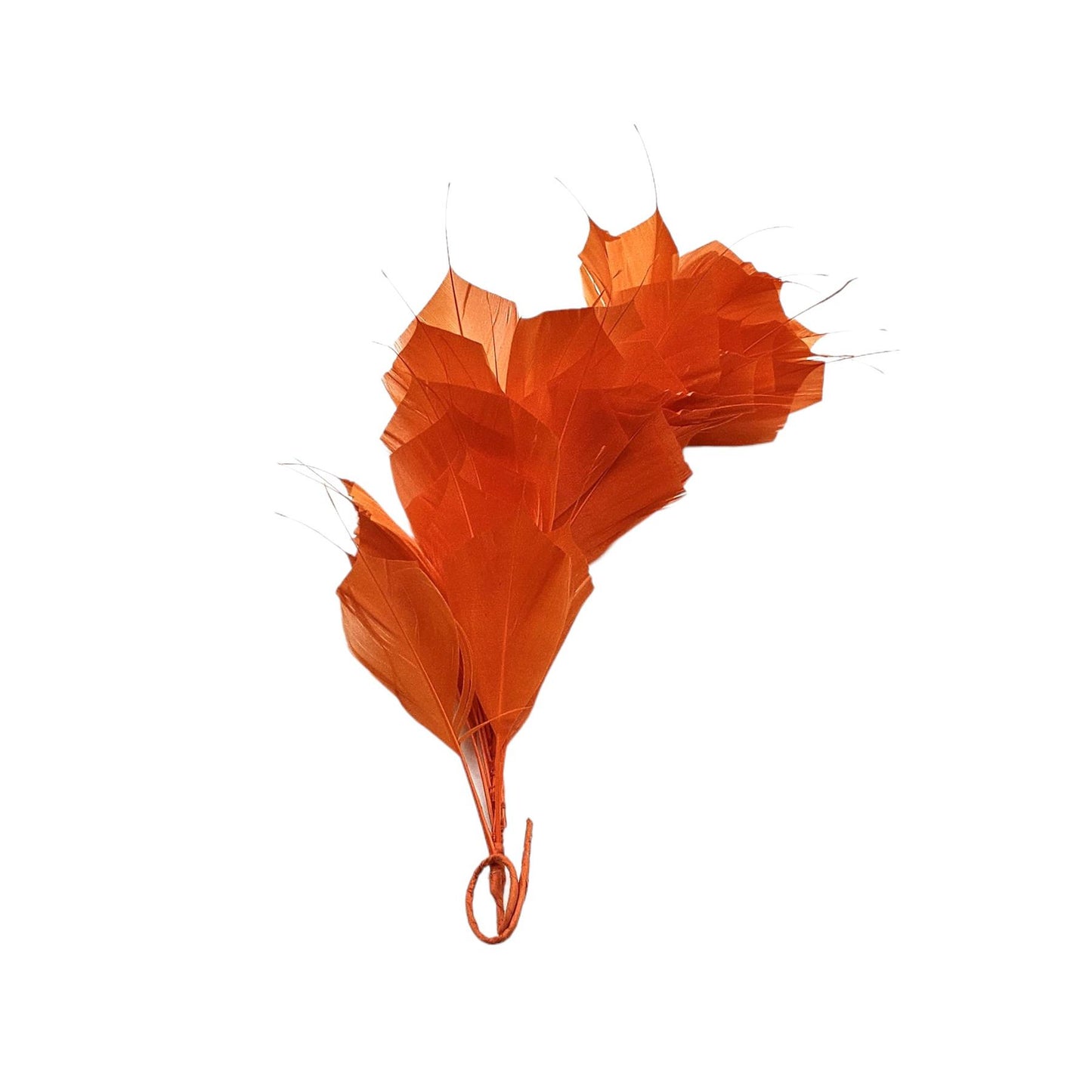 Spiky Goose Mount on Wire 25cm - FM045