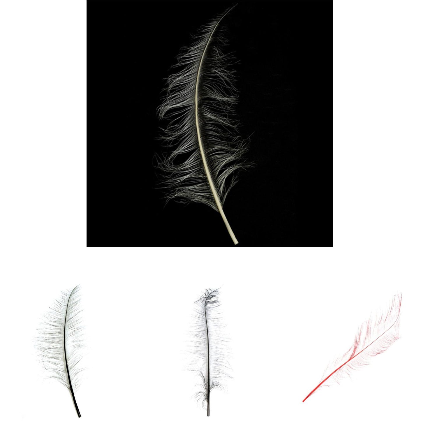 Burnt Ostrich Feather Plume 60cm - FE003