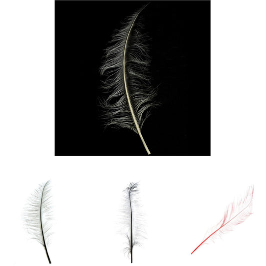 Burnt Ostrich Feather Plume 60cm - FE003