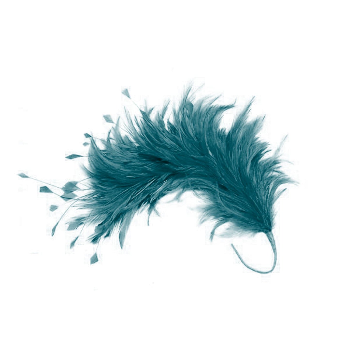 Hackle Feather Stripped Coq Mount 30cm - FM080