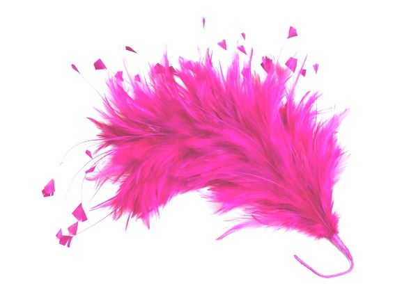 Hackle Feather Stripped Coq Mount 30cm - FM080