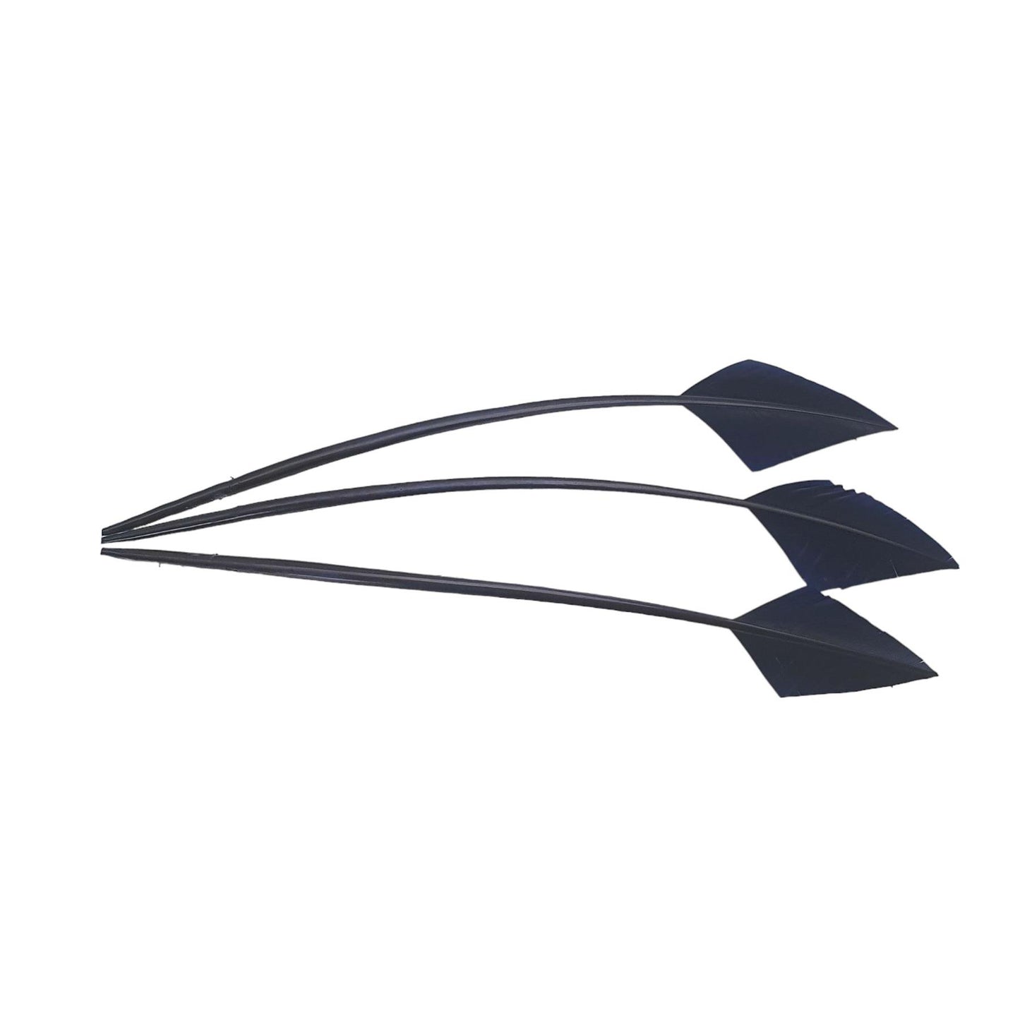 Arrow Head Turkey Feather 30cm x 3pcs - FE014