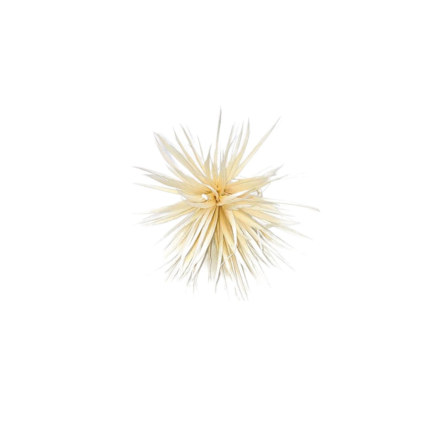 Spiky Goose Biot Feather Flower 9cm FM093