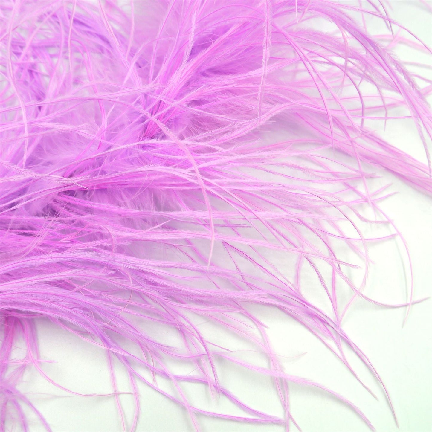 Ostrich Feather Boa 3 ply x 1m BO001