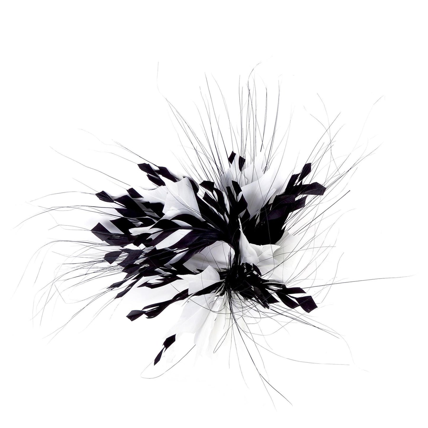 Black Ivory Goose Peacock Feather Mount FM087