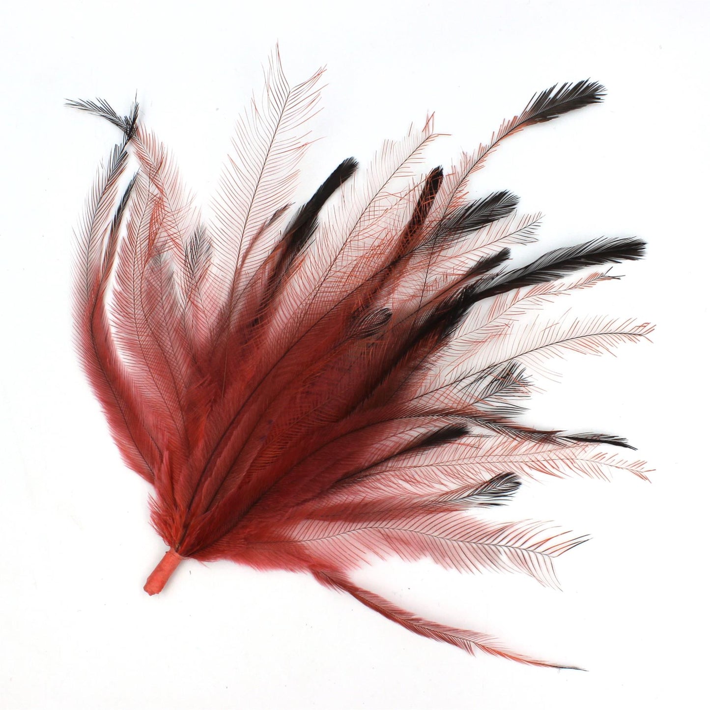 Emu Feather Bunch 14cm x 20pcs FM084
