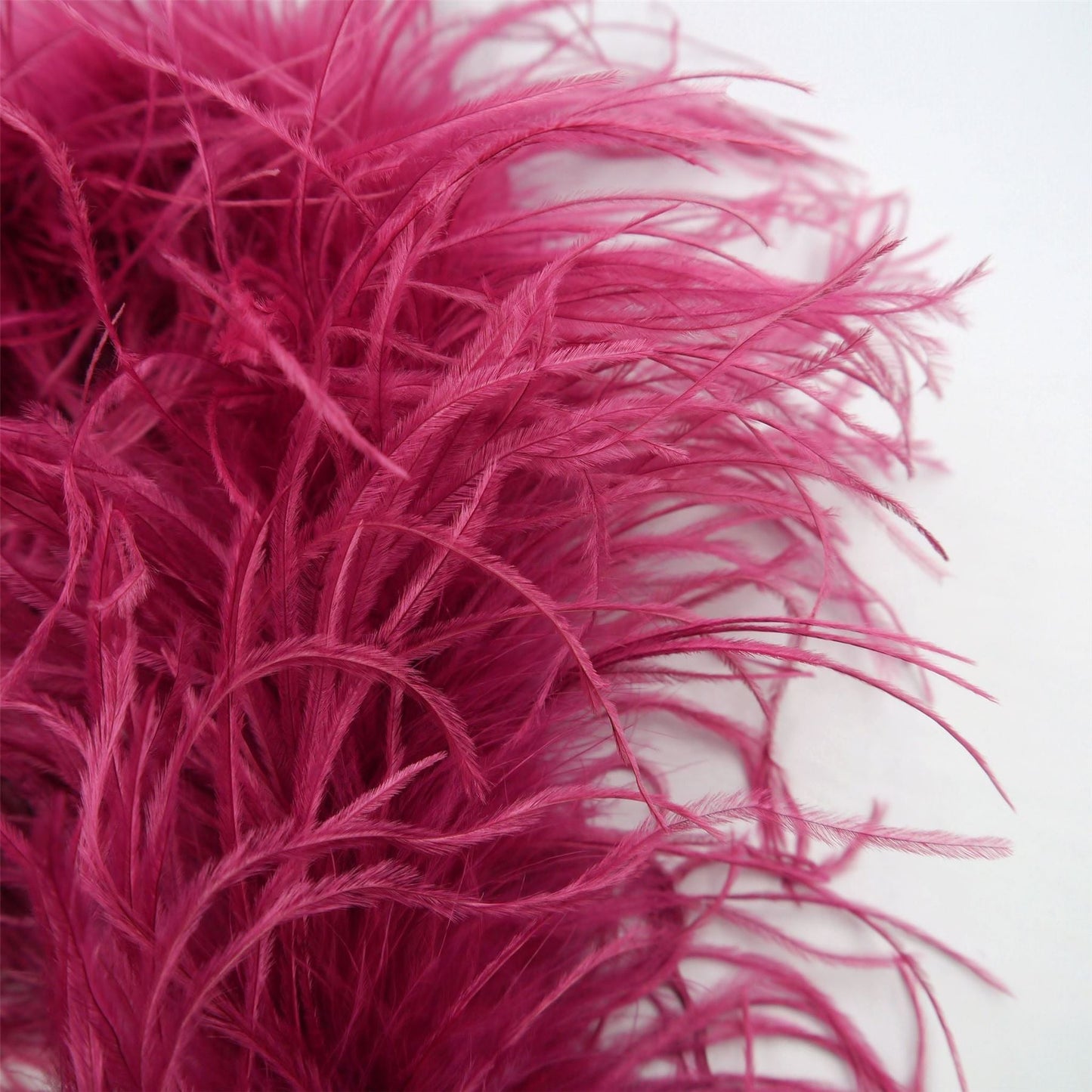 Ostrich Feather Boa 3 ply x 1m BO001