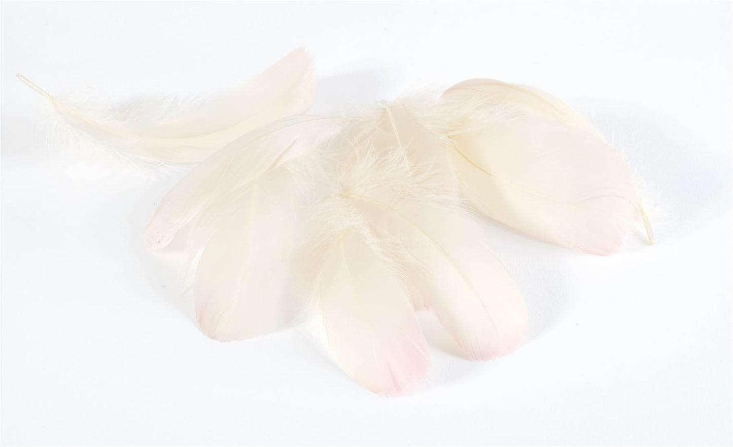 Goose Feathers x 20pcs - FE009