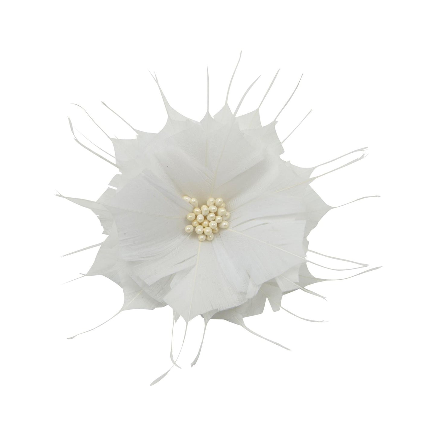 Goose Feather Star Flower 14cm - FM024