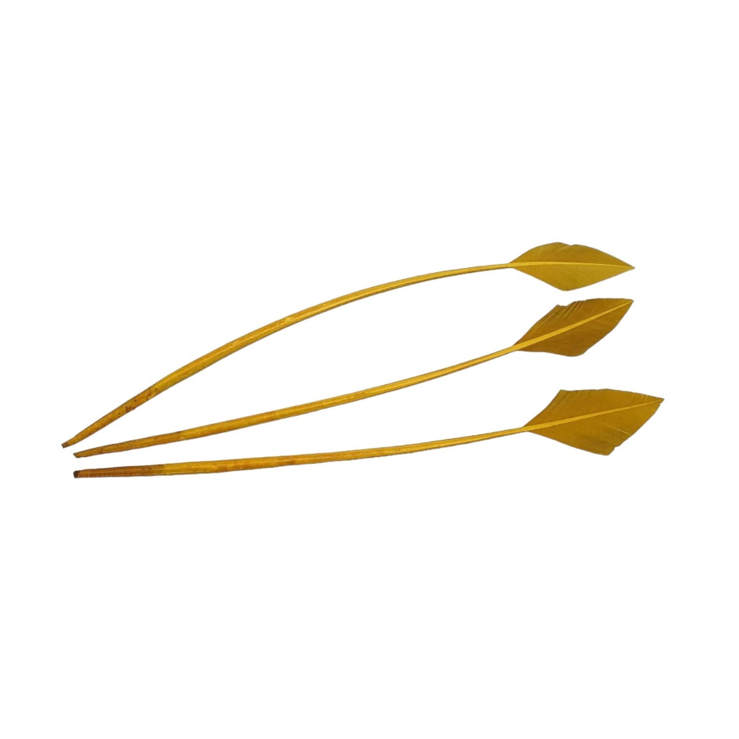 Arrow Head Turkey Feather 30cm x 3pcs - FE014