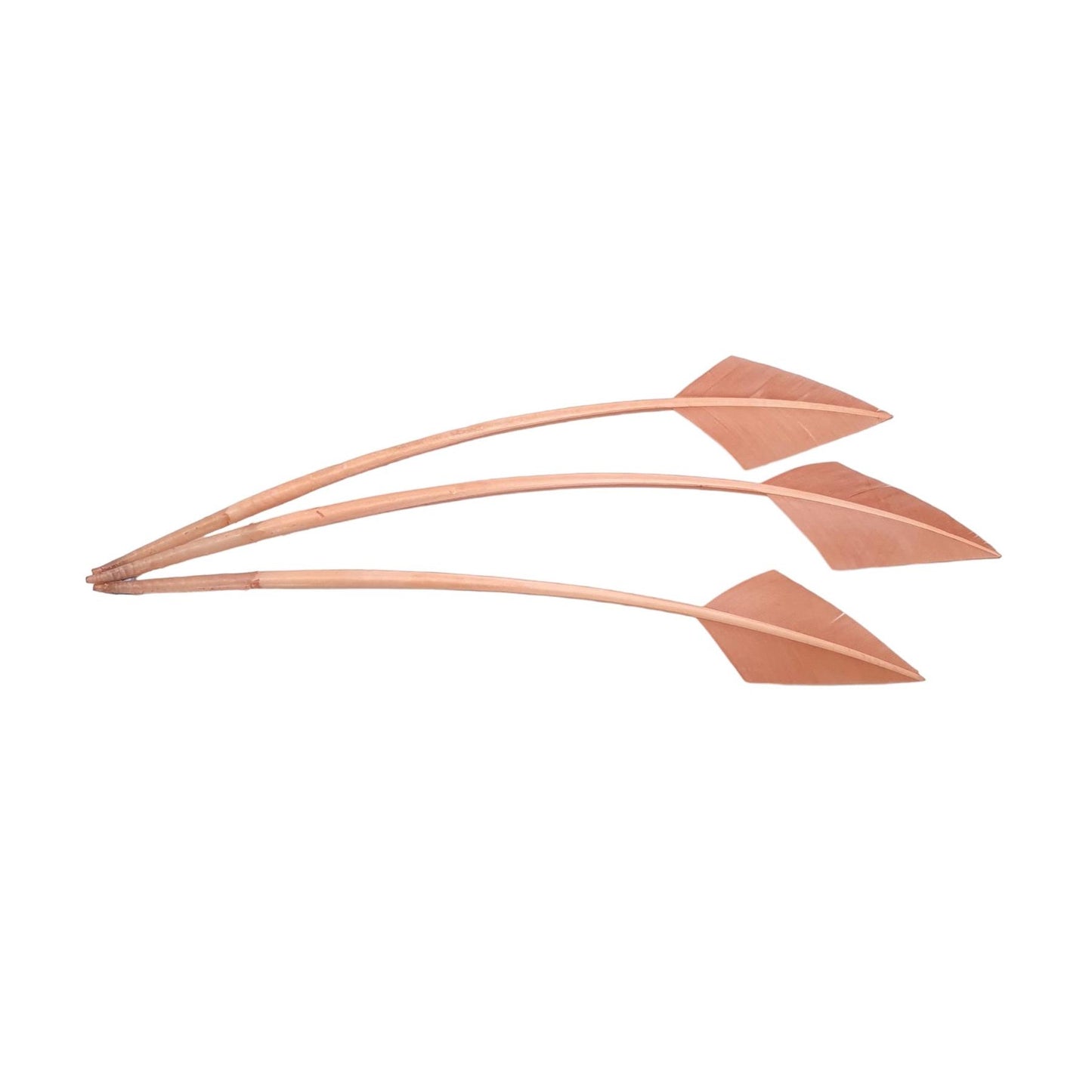 Arrow Head Turkey Feather 30cm x 3pcs - FE014