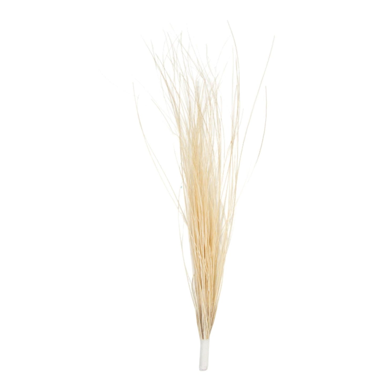 Burnt Peacock Brush Mount 20cm - FM083