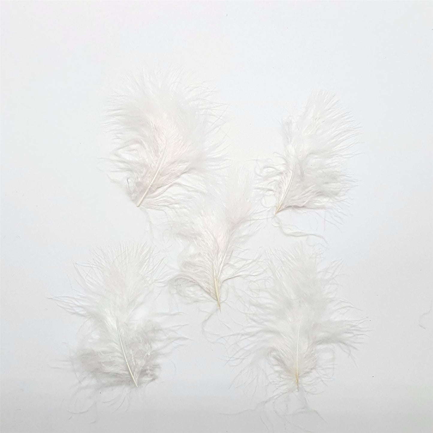 Marabou Feathers x 20pcs - FE008