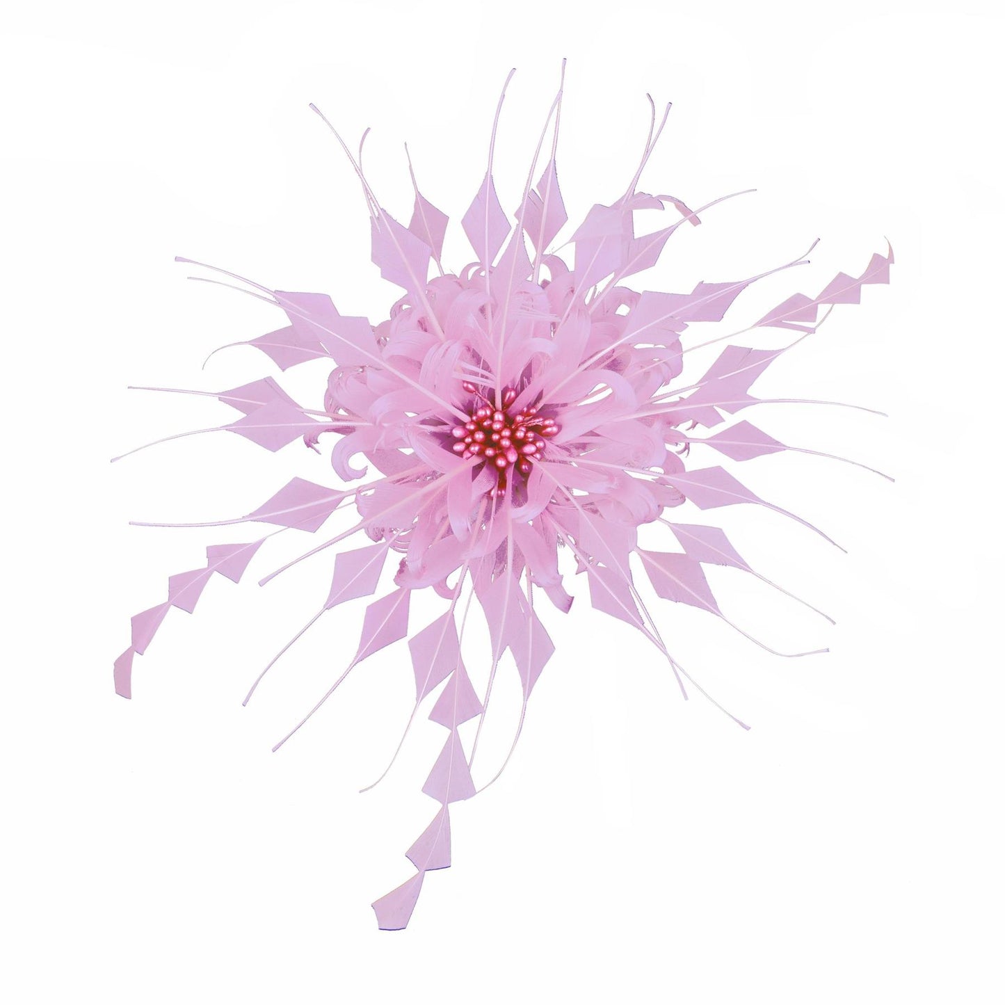 Curly Goose Coque Feather Flower 20cm - FM054
