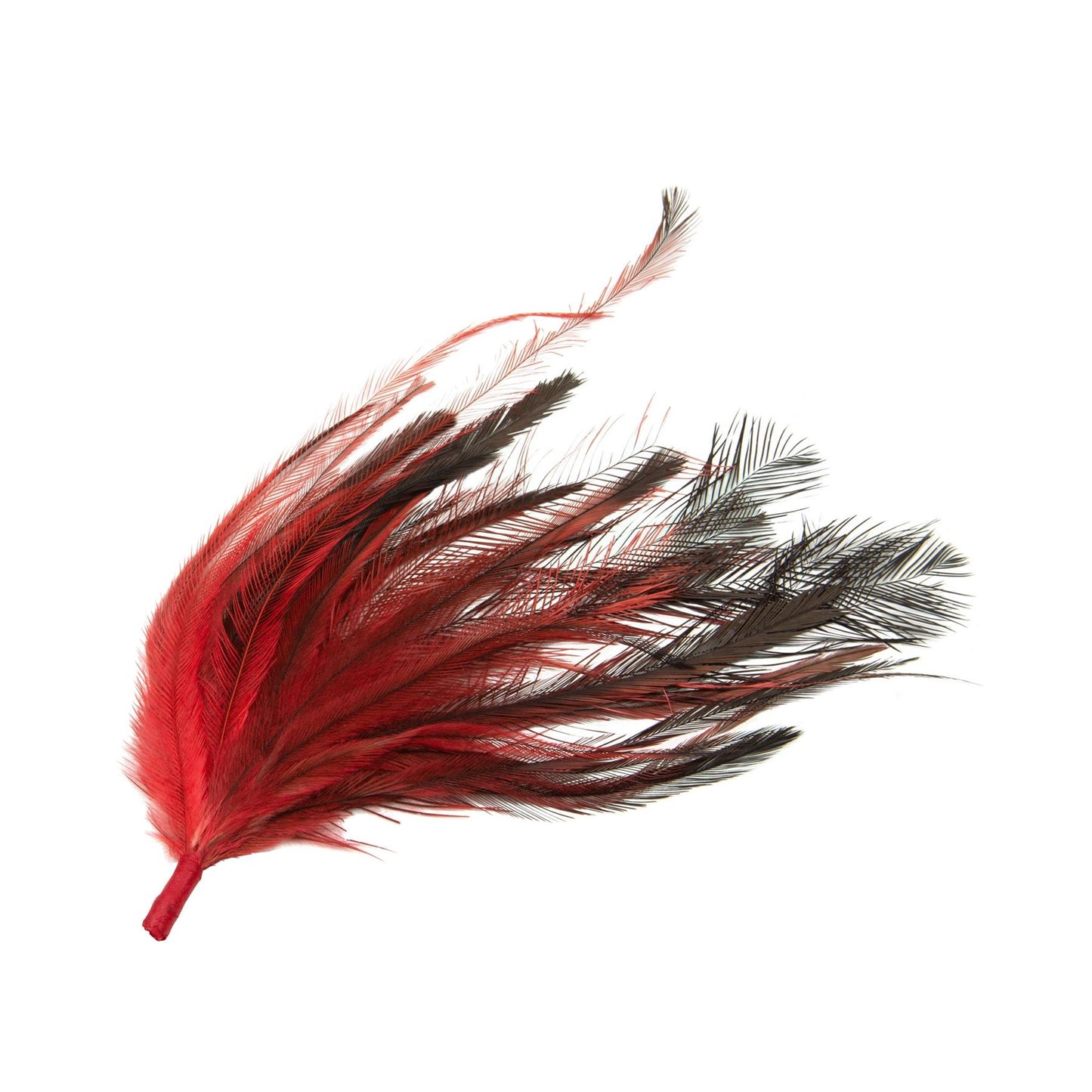 Emu Feather Bunch 14cm x 20pcs FM084